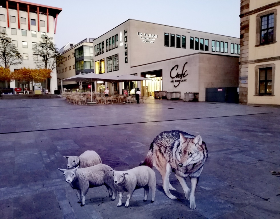 3D streetart Wolf und Lämmer Fredda Wouters FreddArt Streetpainting